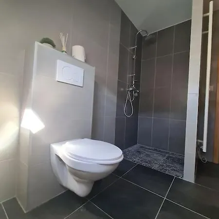 Bienvenue Chez Angele Homes 3 * Niederbronn-les-Bains